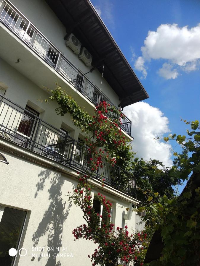 Casa Romaneasca 쿠티에데아게스 외부 사진